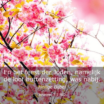 Picture 03 - Johannes 7:2 NLD - En het feest der Joden, namelijk de loof - Bible Verse Picture