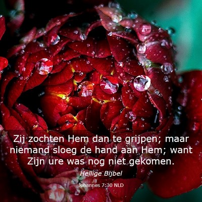 Picture 03 - Johannes 7:30 NLD - Zij zochten Hem dan te grijpen; maar niemand - Bible Verse Picture