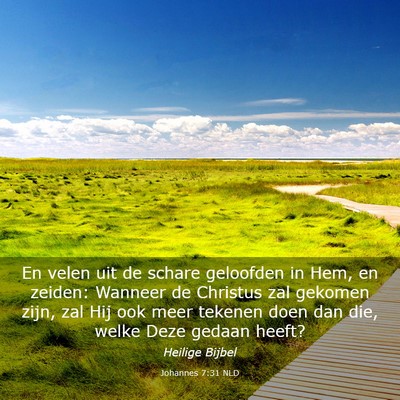 Picture 03 - Johannes 7:31 NLD - En velen uit de schare geloofden in Hem, en - Bible Verse Picture