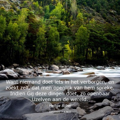 Picture 03 - Johannes 7:4 NLD - Want niemand doet iets in het verborgen, en zoekt - Bible Verse Picture