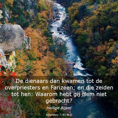 Picture 03 - Johannes 7:45 NLD - De dienaars dan kwamen tot de overpriesters en - Bible Verse Picture