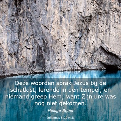 Picture 03 - Johannes 8:20 NLD - Deze woorden sprak Jezus bij de schatkist, - Bible Verse Picture
