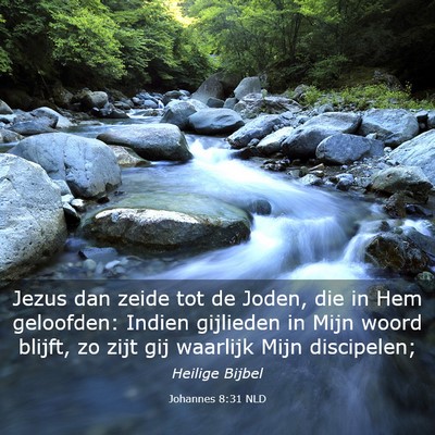 Picture 03 - Johannes 8:31 NLD - Jezus dan zeide tot de Joden, die in Hem - Bible Verse Picture