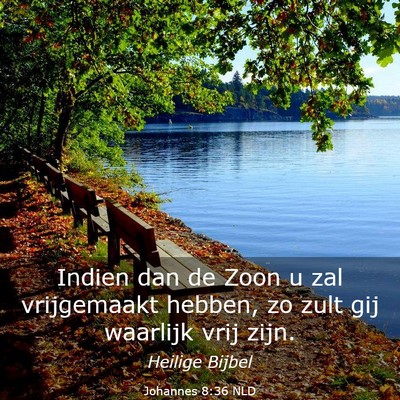 Picture 03 - Johannes 8:36 NLD - Indien dan de Zoon u zal vrijgemaakt hebben, zo - Bible Verse Picture
