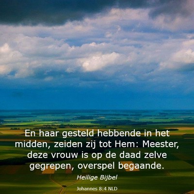 Picture 03 - Johannes 8:4 NLD - En haar gesteld hebbende in het midden, zeiden - Bible Verse Picture