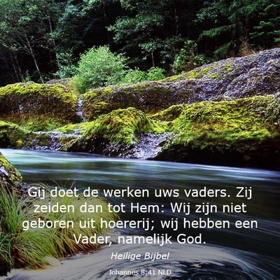 Picture 03 - Johannes 8:41 NLD - Gij doet de werken uws vaders. Zij zeiden dan tot - Bible Verse Picture
