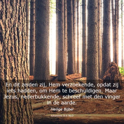 Picture 03 - Johannes 8:6 NLD - En dit zeiden zij, Hem verzoekende, opdat zij - Bible Verse Picture