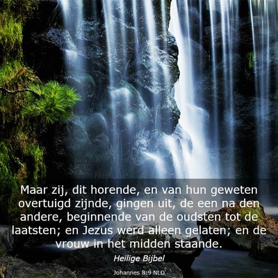 Picture 03 - Johannes 8:9 NLD - Maar zij, dit horende, en van hun geweten - Bible Verse Picture