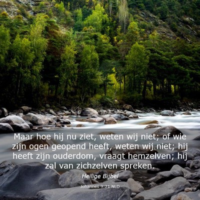 Picture 03 - Johannes 9:21 NLD - Maar hoe hij nu ziet, weten wij niet; of wie zijn - Bible Verse Picture