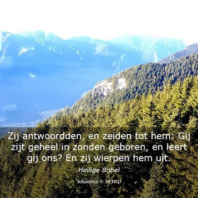 Picture 03 - Johannes 9:34 NLD - Zij antwoordden, en zeiden tot hem: Gij zijt - Bible Verse Picture