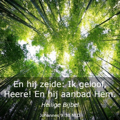 Picture 03 - Johannes 9:38 NLD - En hij zeide: Ik geloof, Heere! En hij aanbad - Bible Verse Picture