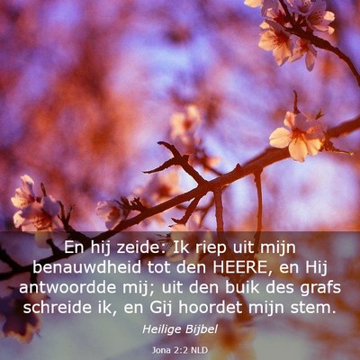 Picture 03 - Jona 2:2 NLD - En hij zeide: Ik riep uit mijn benauwdheid tot - Bible Verse Picture