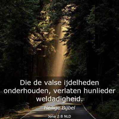 Picture 03 - Jona 2:8 NLD - Die de valse ijdelheden onderhouden, verlaten - Bible Verse Picture