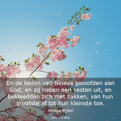Picture 03 - Jona 3:5 NLD - En de lieden van Nineve geloofden aan God; en zij - Bible Verse Picture