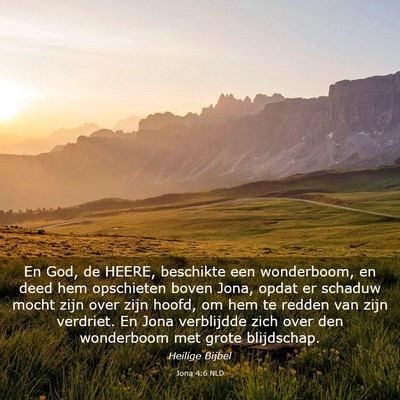 Picture 03 - Jona 4:6 NLD - En God, de HEERE, beschikte een wonderboom, en - Bible Verse Picture