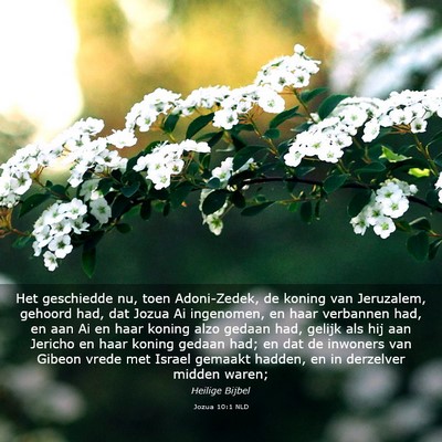 Picture 03 - Jozua 10:1 NLD - Het geschiedde nu, toen Adoni-Zedek, de koning - Bible Verse Picture