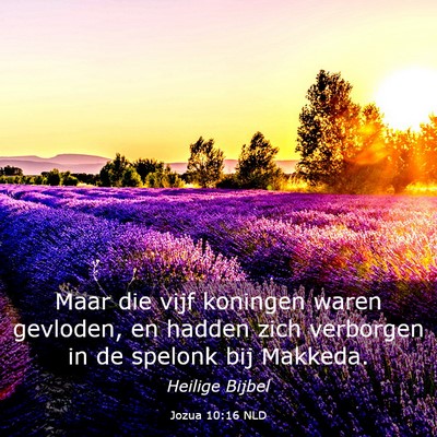 Picture 03 - Jozua 10:16 NLD - Maar die vijf koningen waren gevloden, en hadden - Bible Verse Picture