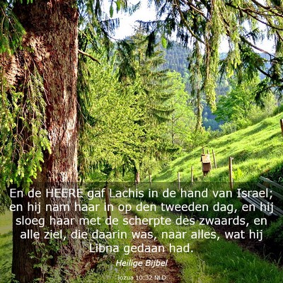 Picture 03 - Jozua 10:32 NLD - En de HEERE gaf Lachis in de hand van Israel; en - Bible Verse Picture