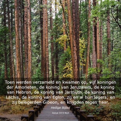 Picture 03 - Jozua 10:5 NLD - Toen werden verzameld en kwamen op, vijf koningen - Bible Verse Picture