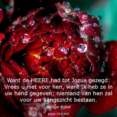 Picture 03 - Jozua 10:8 NLD - Want de HEERE had tot Jozua gezegd: Vrees u niet - Bible Verse Picture