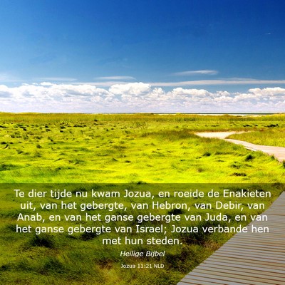 Picture 03 - Jozua 11:21 NLD - Te dier tijde nu kwam Jozua, en roeide de - Bible Verse Picture