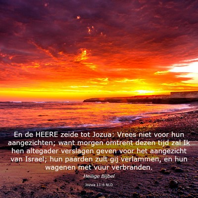 Picture 03 - Jozua 11:6 NLD - En de HEERE zeide tot Jozua: Vrees niet voor hun - Bible Verse Picture