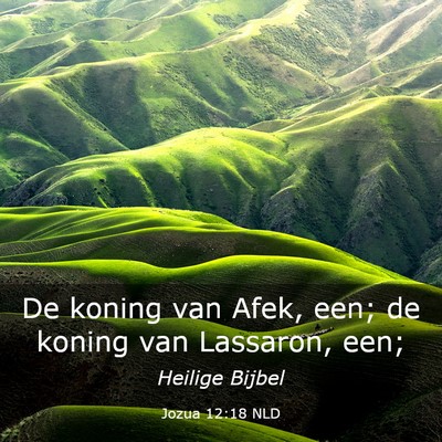 Picture 03 - Jozua 12:18 NLD - De koning van Afek, een; de koning van Lassaron, - Bible Verse Picture