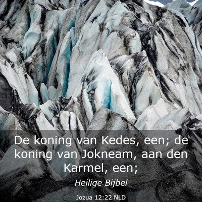 Picture 03 - Jozua 12:22 NLD - De koning van Kedes, een; de koning van Jokneam, - Bible Verse Picture