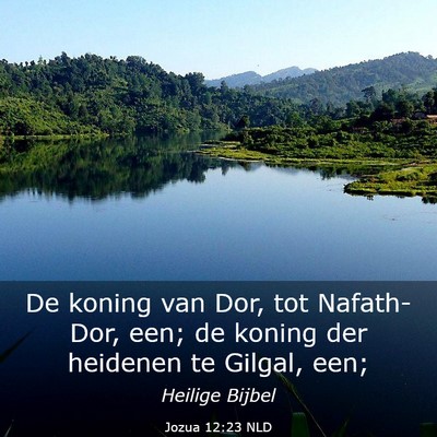Picture 03 - Jozua 12:23 NLD - De koning van Dor, tot Nafath-Dor, een; de koning - Bible Verse Picture
