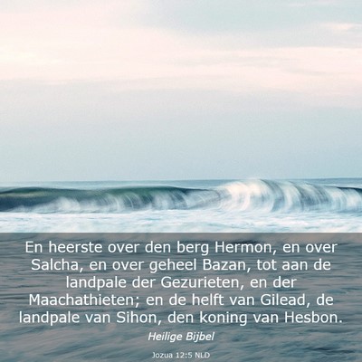Picture 03 - Jozua 12:5 NLD - En heerste over den berg Hermon, en over Salcha, - Bible Verse Picture