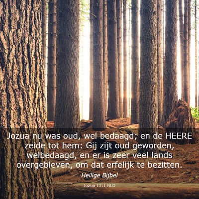 Picture 03 - Jozua 13:1 NLD - Jozua nu was oud, wel bedaagd; en de HEERE zeide - Bible Verse Picture