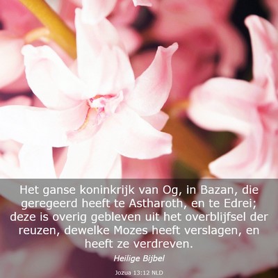 Picture 03 - Jozua 13:12 NLD - Het ganse koninkrijk van Og, in Bazan, die - Bible Verse Picture