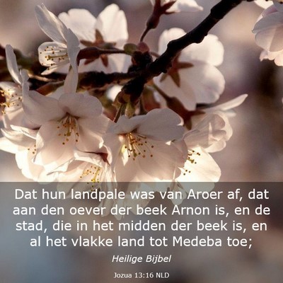 Picture 03 - Jozua 13:16 NLD - Dat hun landpale was van Aroer af, dat aan den - Bible Verse Picture