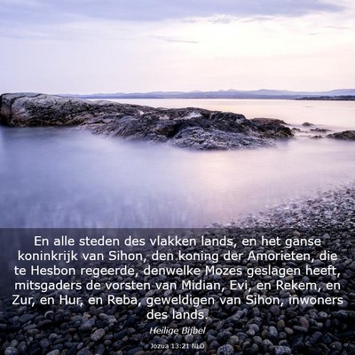 Picture 03 - Jozua 13:21 NLD - En alle steden des vlakken lands, en het ganse - Bible Verse Picture