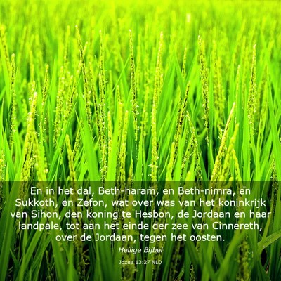 Picture 03 - Jozua 13:27 NLD - En in het dal, Beth-haram, en Beth-nimra, en - Bible Verse Picture