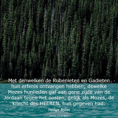 Picture 03 - Jozua 13:8 NLD - Met denwelken de Rubenieten en Gadieten hun - Bible Verse Picture