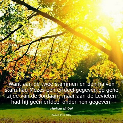 Picture 03 - Jozua 14:3 NLD - Want aan de twee stammen en den halven stam had - Bible Verse Picture