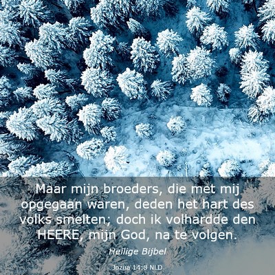 Picture 03 - Jozua 14:8 NLD - Maar mijn broeders, die met mij opgegaan waren, - Bible Verse Picture