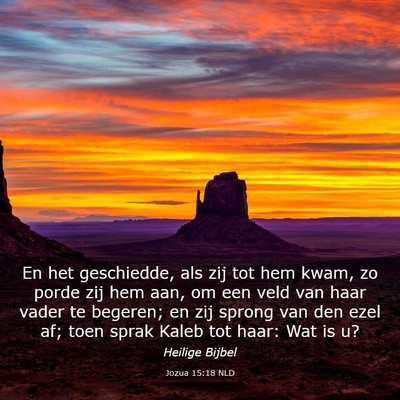 Picture 03 - Jozua 15:18 NLD - En het geschiedde, als zij tot hem kwam, zo porde - Bible Verse Picture