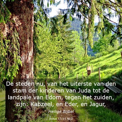 Picture 03 - Jozua 15:21 NLD - De steden nu, van het uiterste van den stam der - Bible Verse Picture