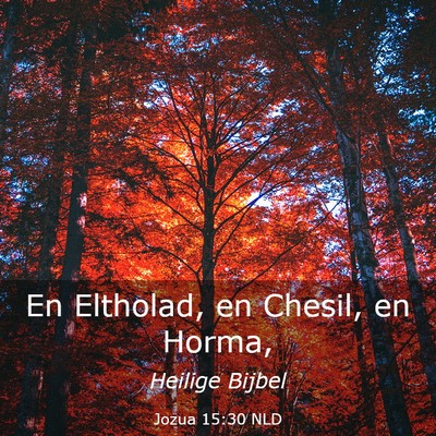 Picture 03 - Jozua 15:30 NLD - En Eltholad, en Chesil, en - Bible Verse Picture