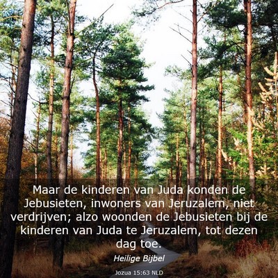 Picture 03 - Jozua 15:63 NLD - Maar de kinderen van Juda konden de Jebusieten, - Bible Verse Picture