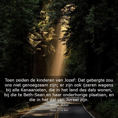 Picture 03 - Jozua 17:16 NLD - Toen zeiden de kinderen van Jozef: Dat gebergte - Bible Verse Picture