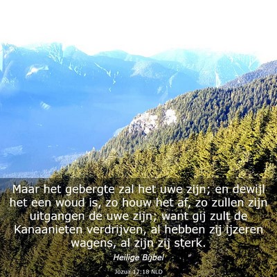 Picture 03 - Jozua 17:18 NLD - Maar het gebergte zal het uwe zijn; en dewijl het - Bible Verse Picture