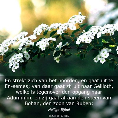 Picture 03 - Jozua 18:17 NLD - En strekt zich van het noorden, en gaat uit te - Bible Verse Picture
