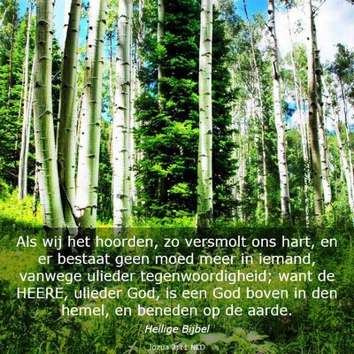 Picture 03 - Jozua 2:11 NLD - Als wij het hoorden, zo versmolt ons hart, en er - Bible Verse Picture