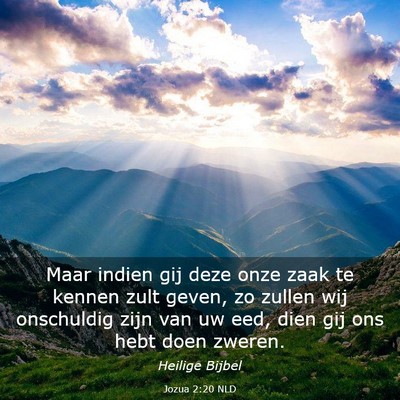 Picture 03 - Jozua 2:20 NLD - Maar indien gij deze onze zaak te kennen zult - Bible Verse Picture