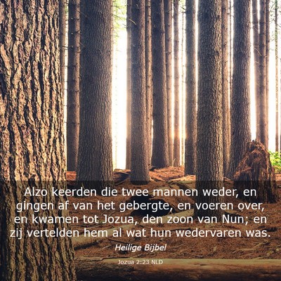 Picture 03 - Jozua 2:23 NLD - Alzo keerden die twee mannen weder, en gingen af - Bible Verse Picture