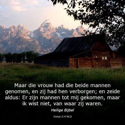 Picture 03 - Jozua 2:4 NLD - Maar die vrouw had die beide mannen genomen, en - Bible Verse Picture