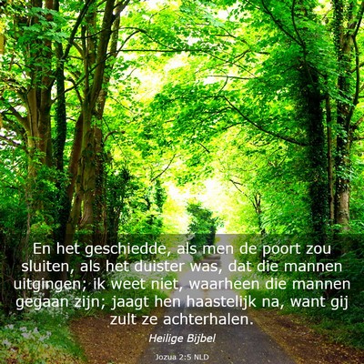 Picture 03 - Jozua 2:5 NLD - En het geschiedde, als men de poort zou sluiten, - Bible Verse Picture